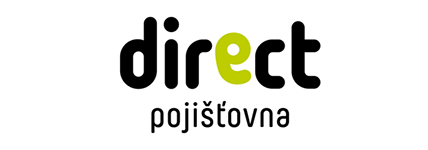 Direct povinne ruceni